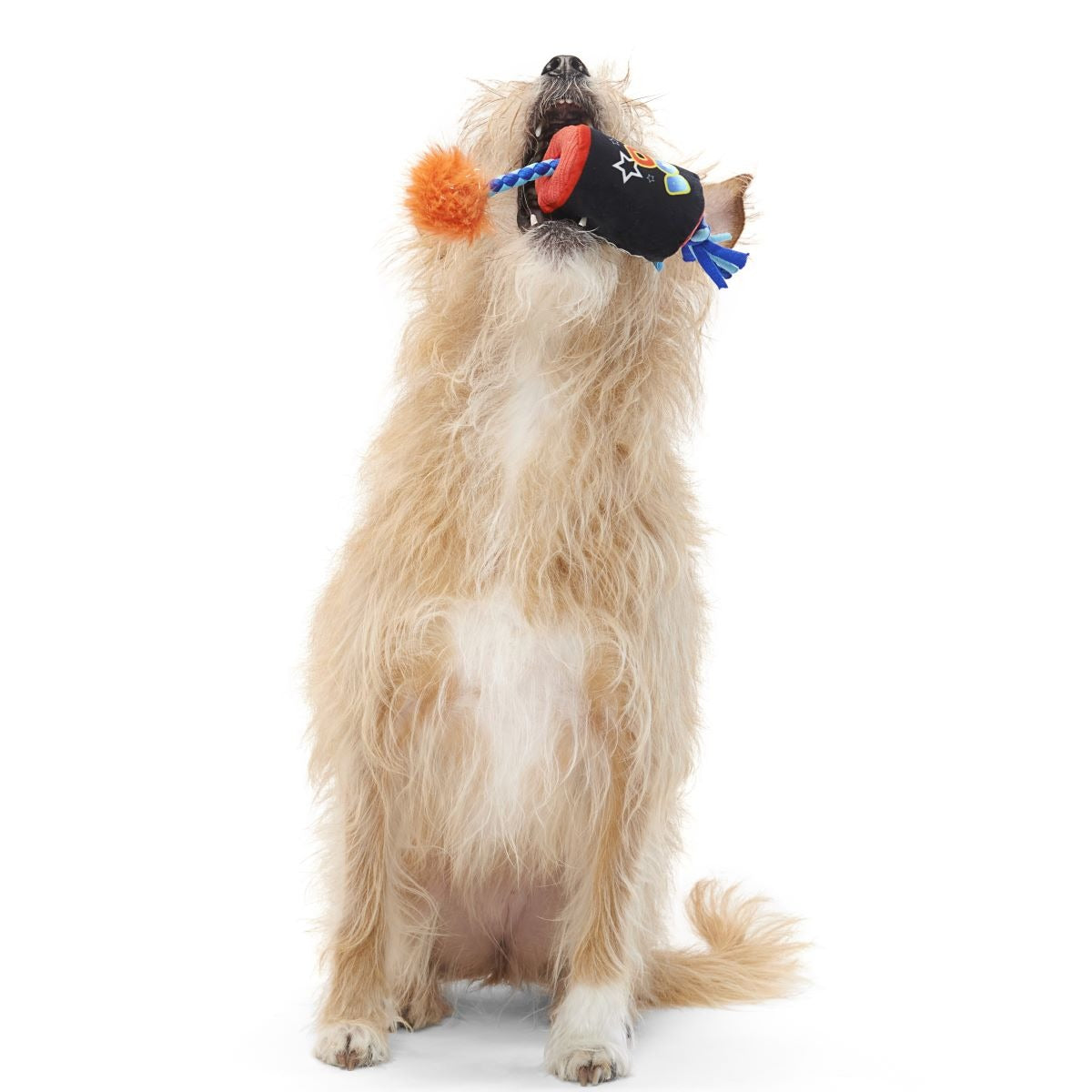 O-K Boomer Plush Tug Dog Toy