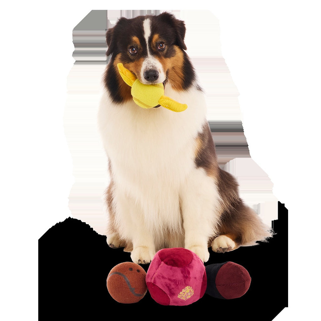 QuidditchTM Equipment Pack Plush Multi-Part + Fetch Dog Toy