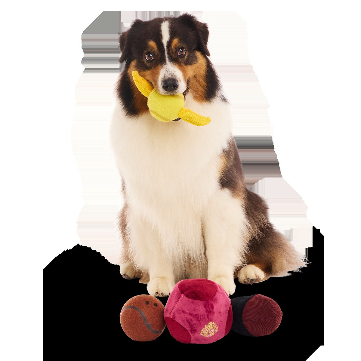QuidditchTM Equipment Pack Plush Multi-Part + Fetch Dog Toy