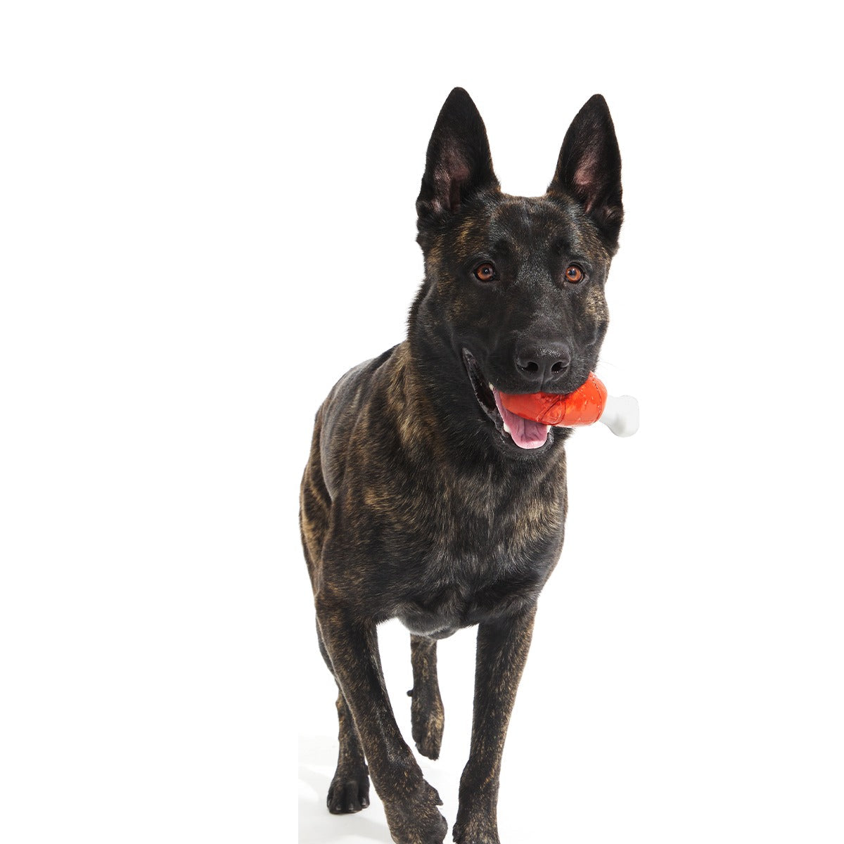 Hardy Ham Super Chewer Durable Gnaw Dog Toy
