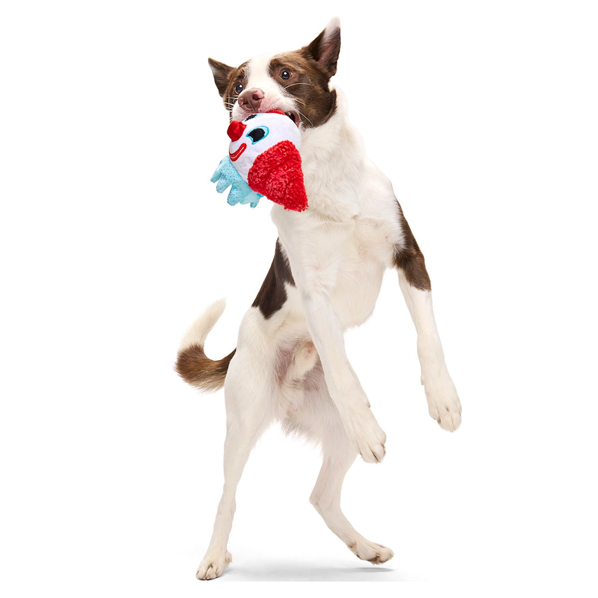 Last Laugh Bundle Plush Dog Toy