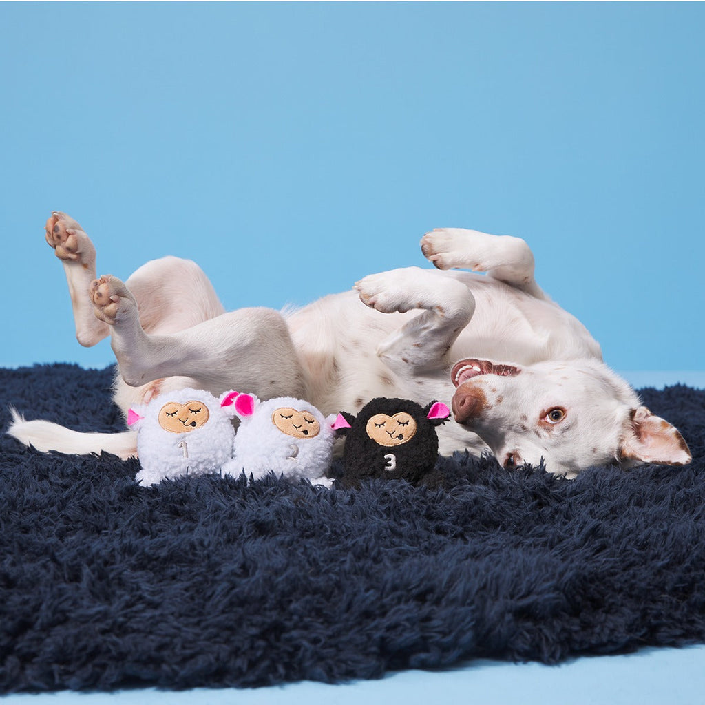 Baa Baa Bark Sheep Plush Multi-Part + Fetch Dog Toy