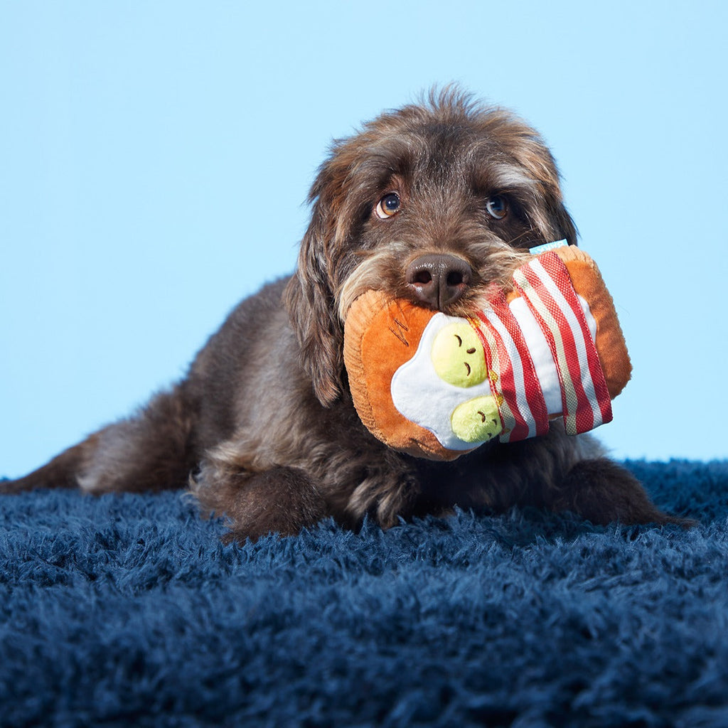Barkfest In Bed Plush Dog Toy