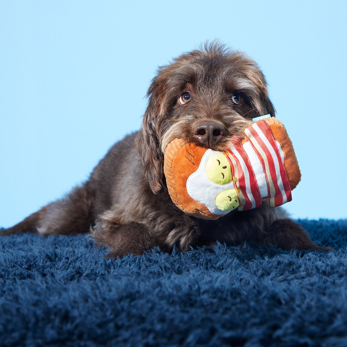 Barkfest In Bed Plush Dog Toy