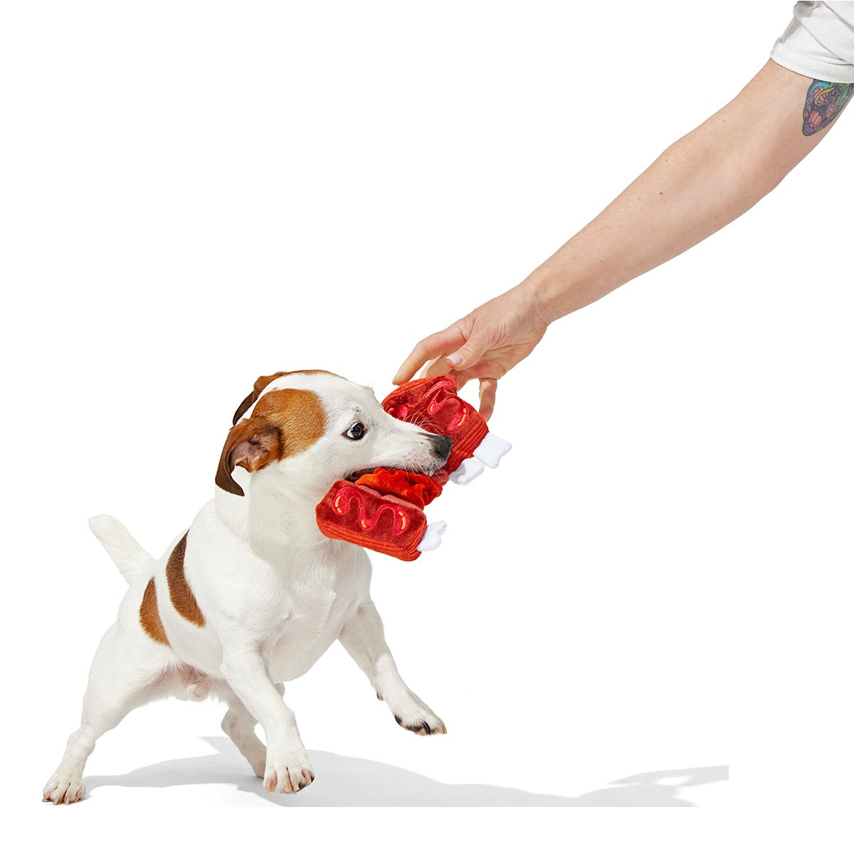 Baby Bark Ribs Plush Tug Dog Toy