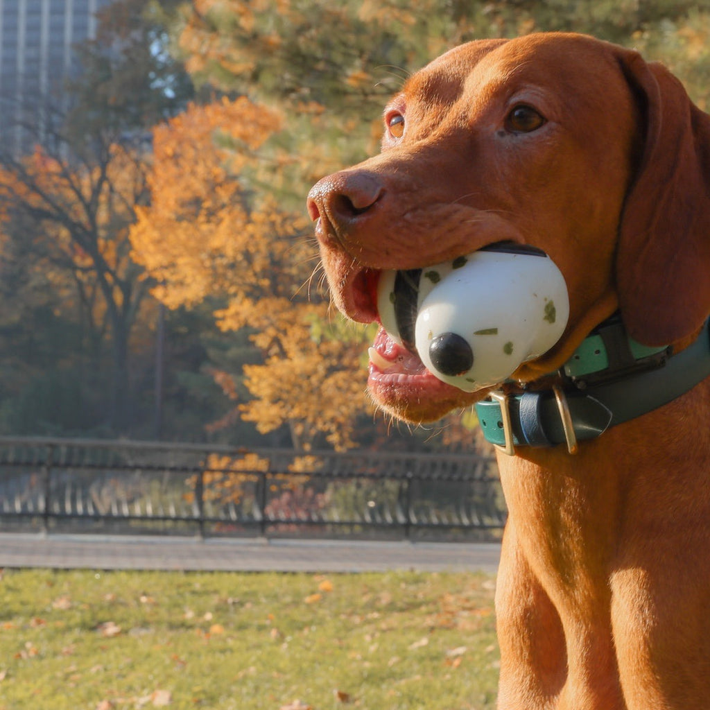 Snoopy Durable Super Chewer Dog Toy