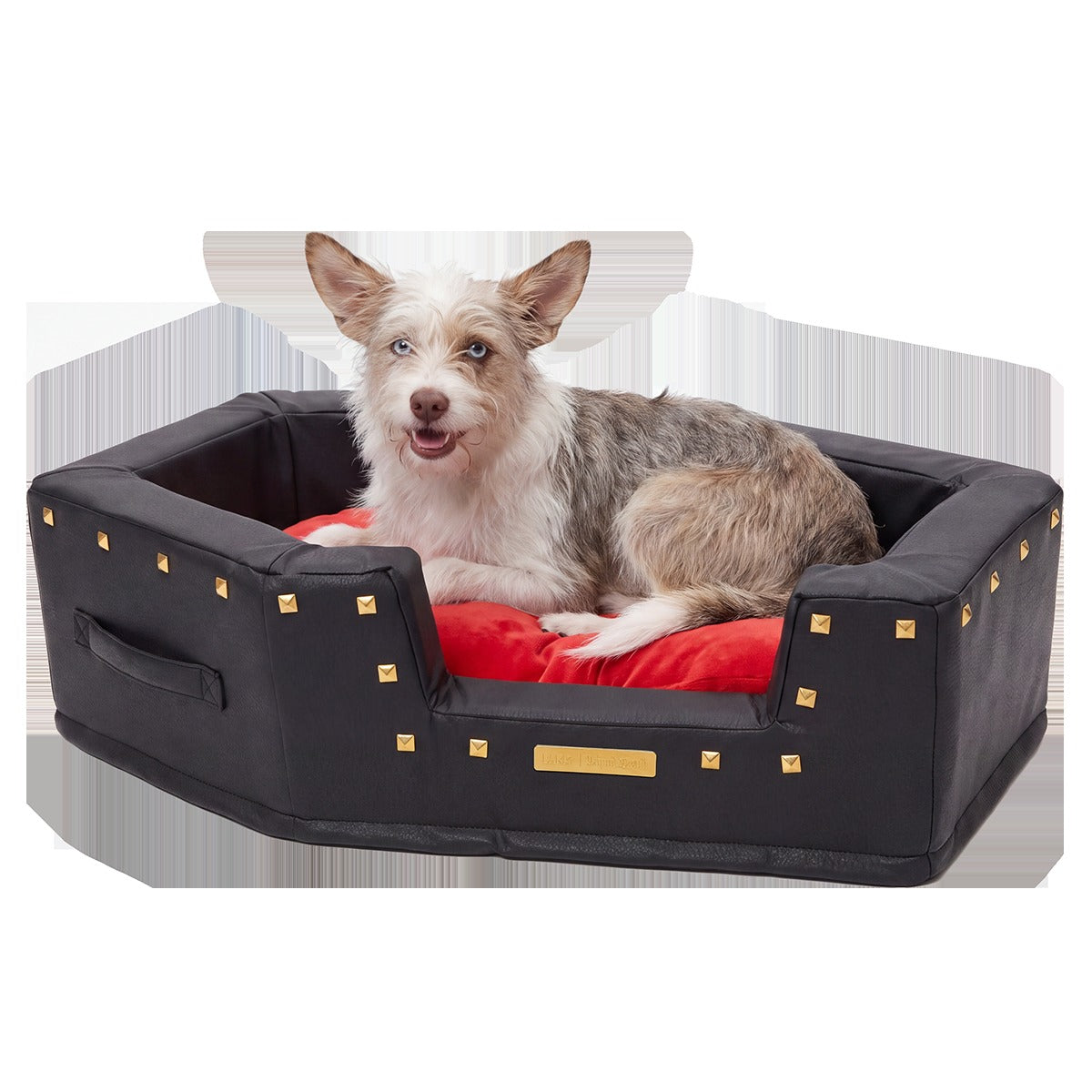 Sleep When You're Fed Dog Bed