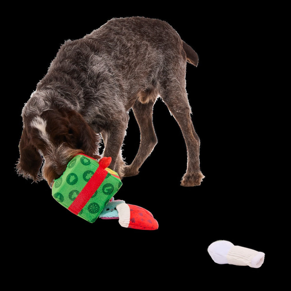 Holly Day's Presents Plush Extra-Large + Multi-Part + Enrichment Dog Toy