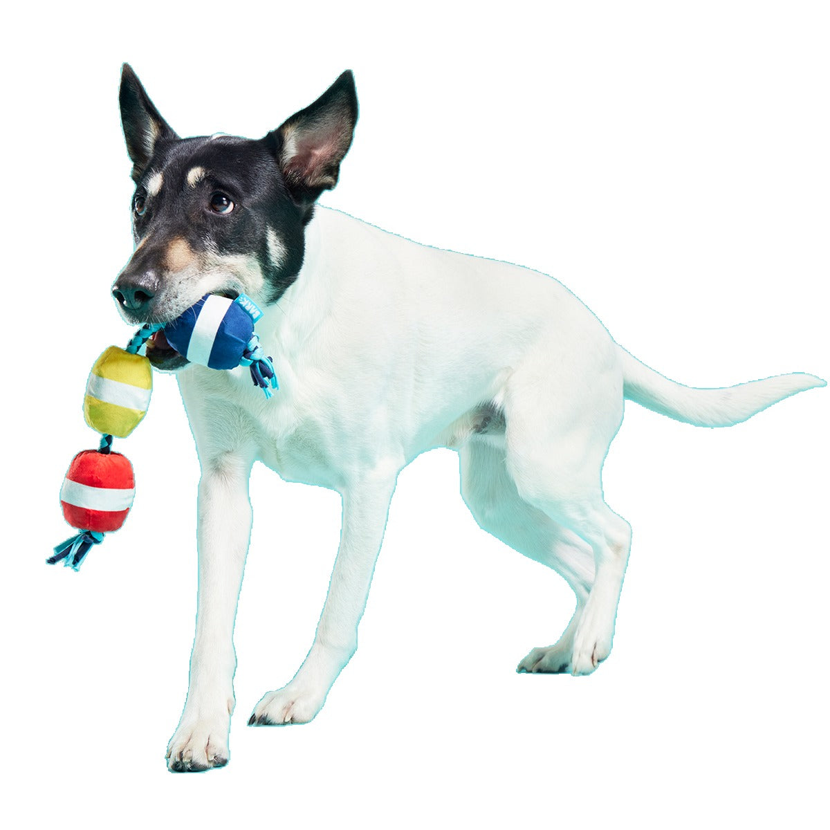 Good Buoys Plush Tug Dog Toy