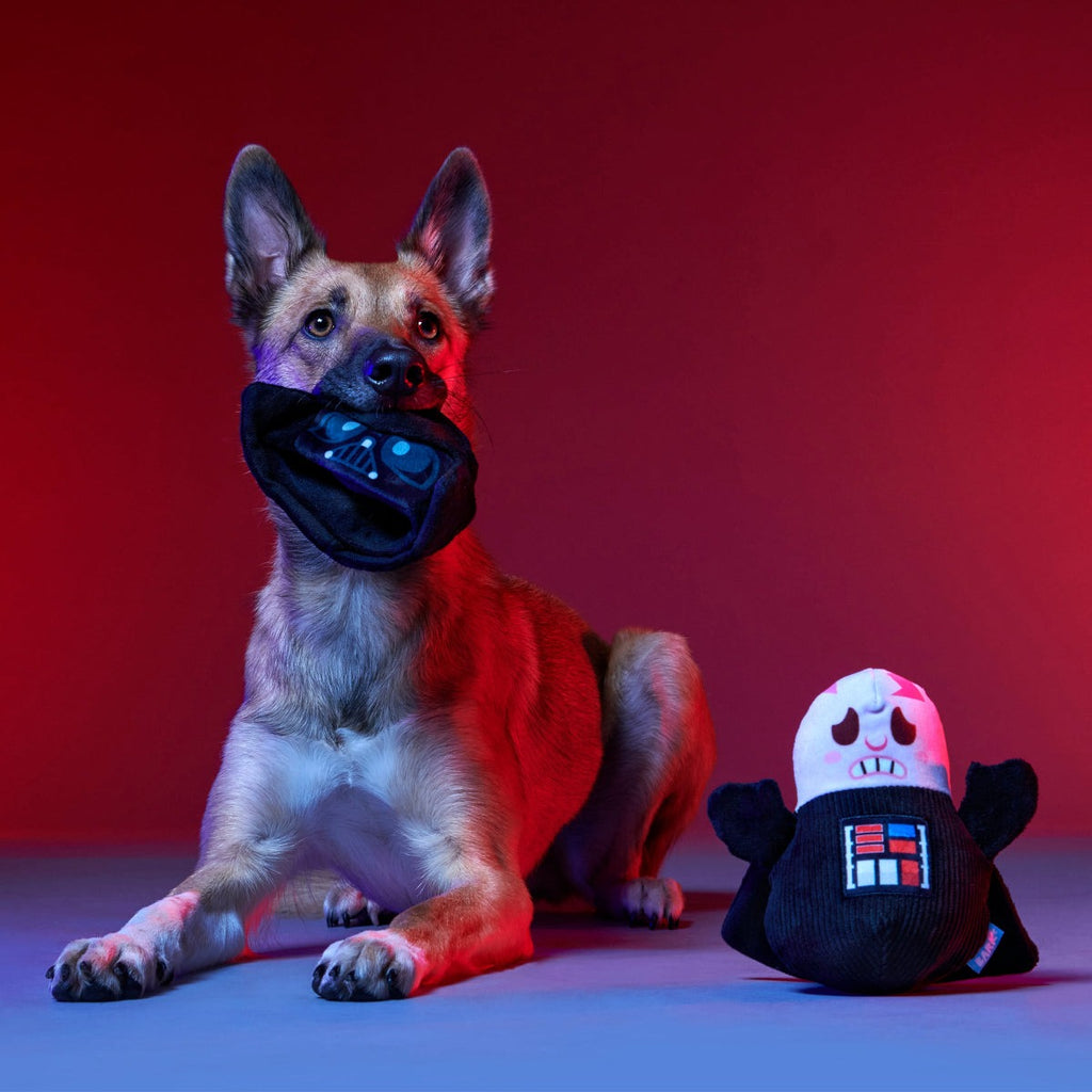 Dark Side Star WarsTM Plush Bundle Tug + Multi-Part Dog Toy