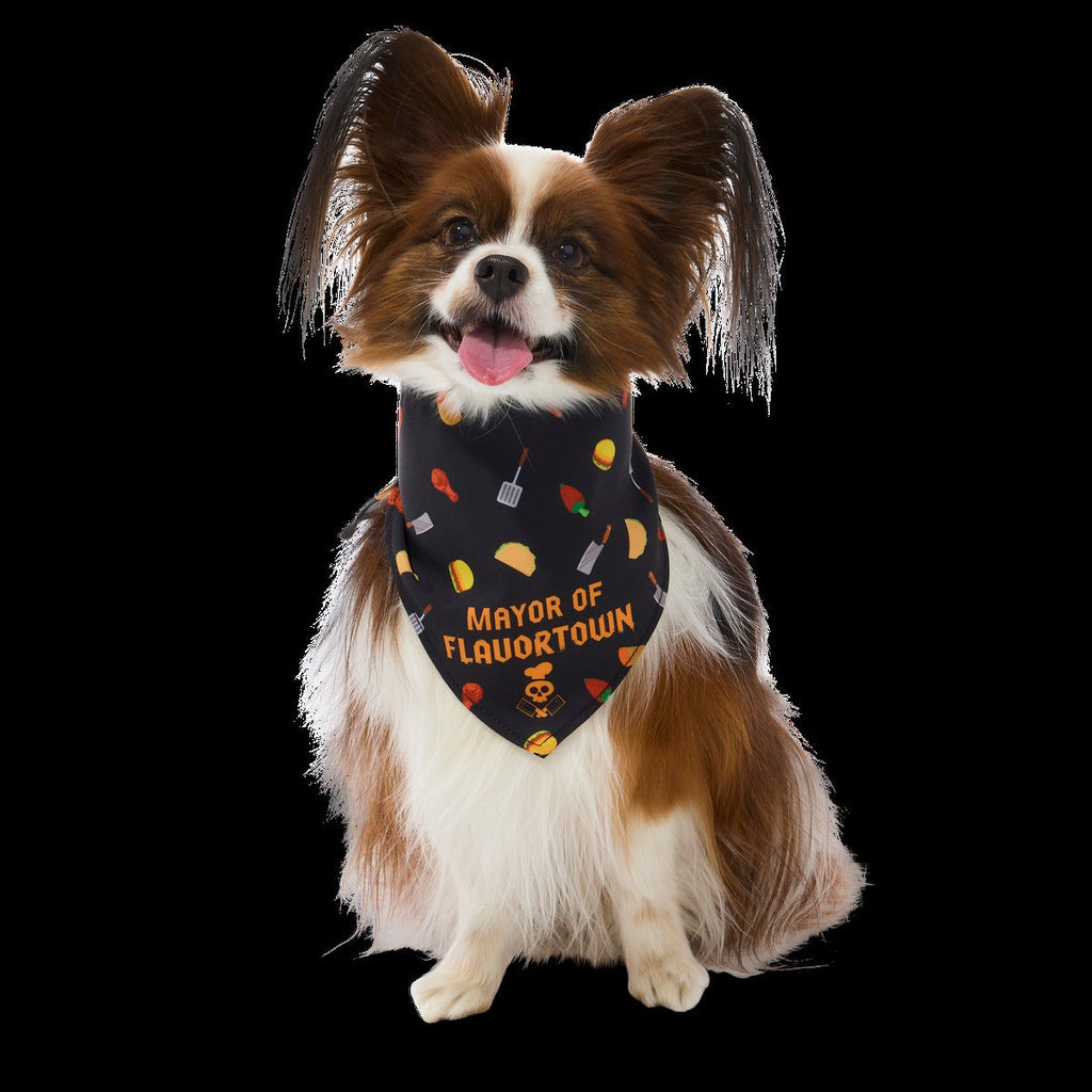 FlavortownTM Dog Bandana