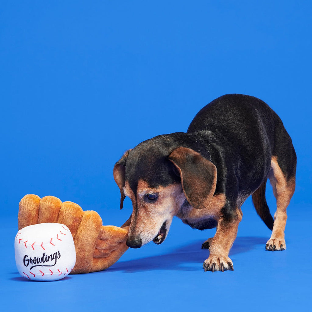 Growlings Baseball Glove Plush Multi-Part + Fetch Dog Toy