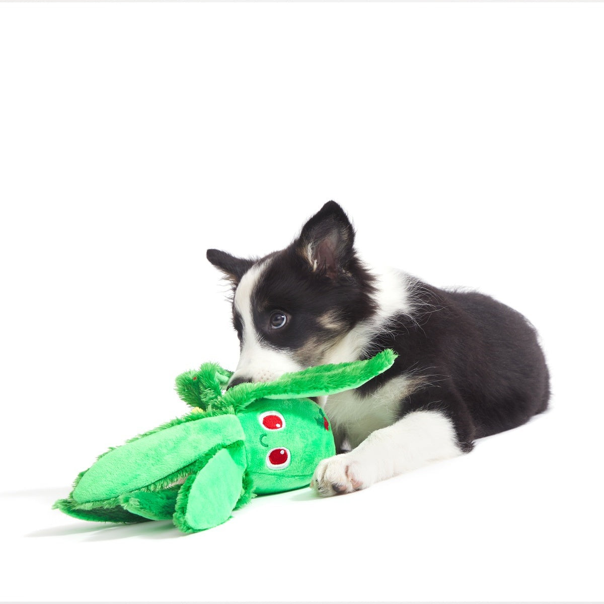 Holly Jolly Ollie Plush Tug Dog Toy
