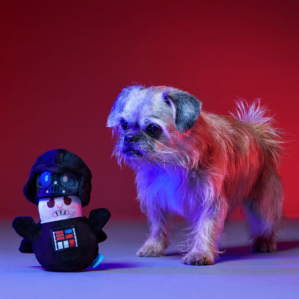Obey Your Master Plush Multi-Part Dog Toy