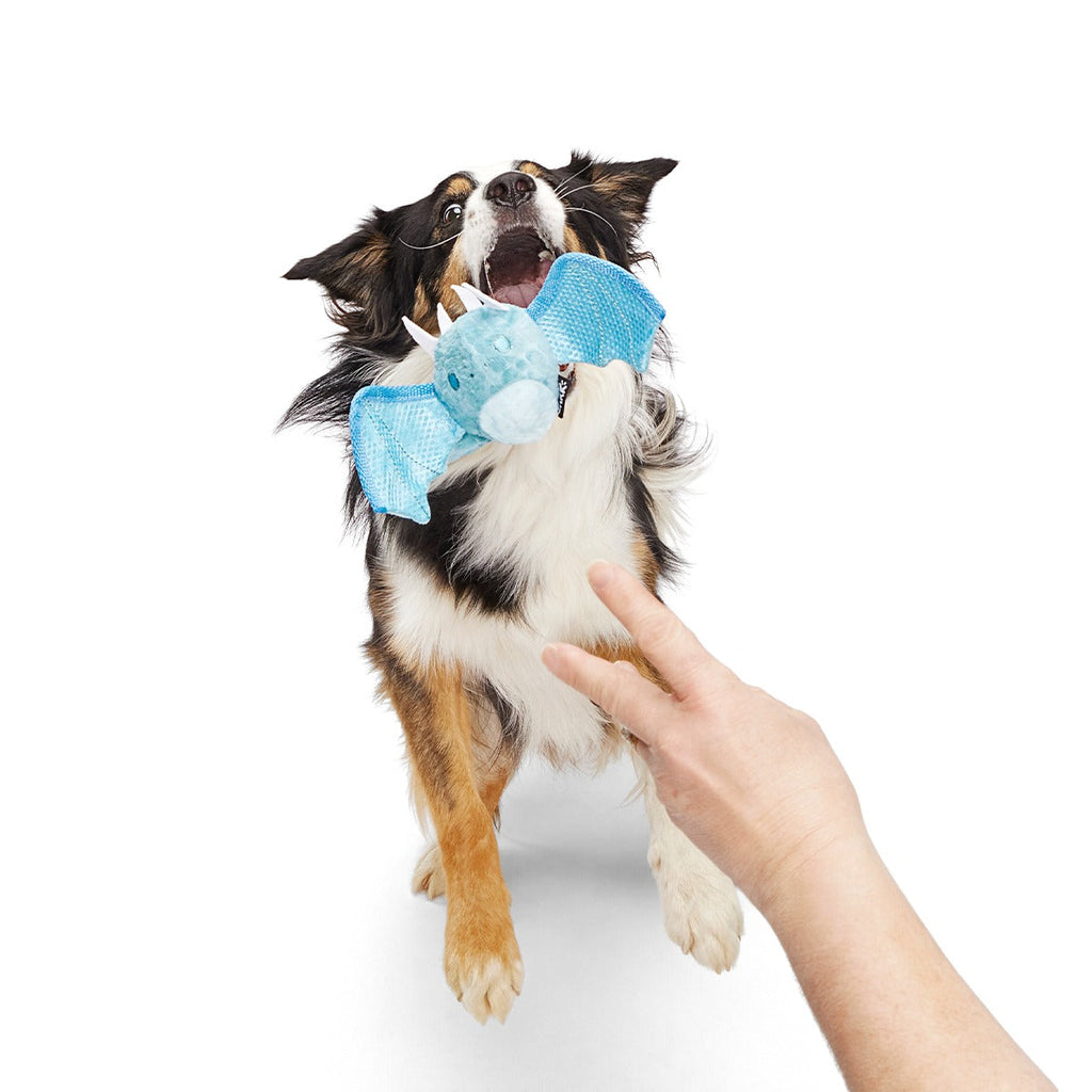 Brrrtha The Dragon Super Chewer Durable 2-in-1 + Tug + Fetch Dog Toy