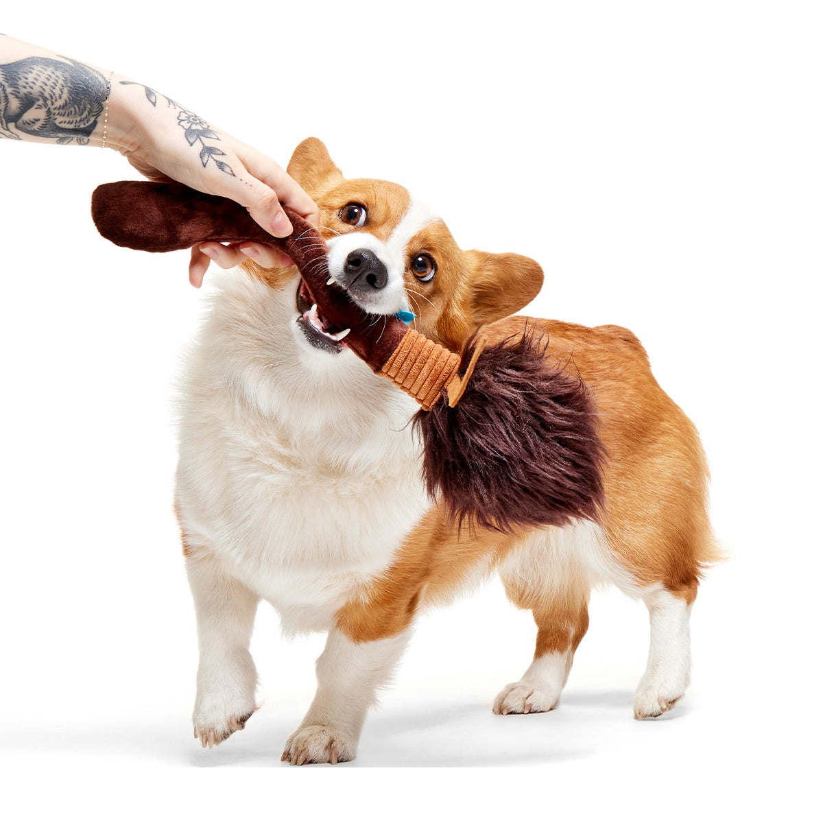 Nimbus 2000TM Broomstick Plush Tug Dog Toy