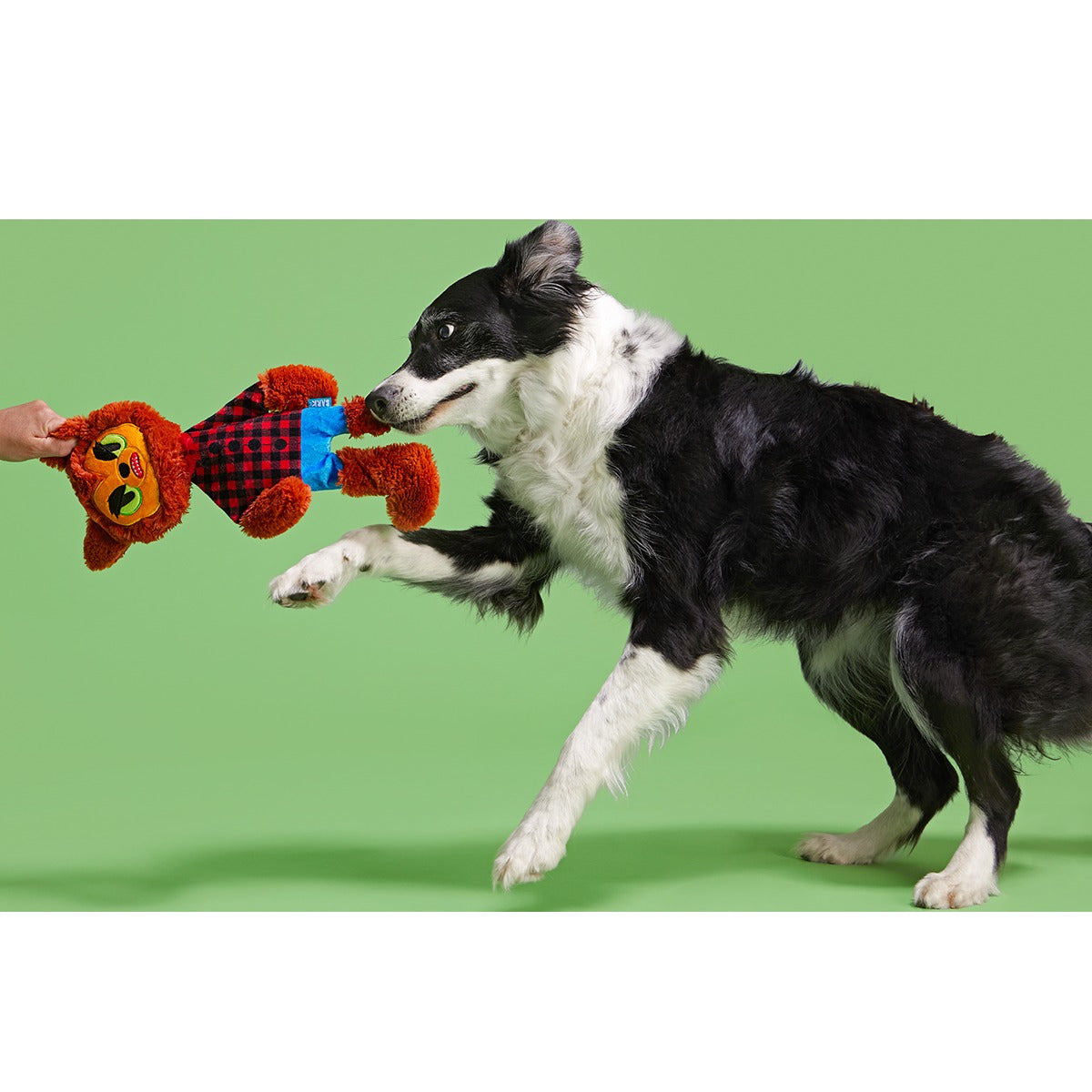 Teen Woof Plush Extra-Large + Tug Dog Toy