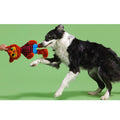 Teen Woof Plush Extra-Large + Tug Dog Toy