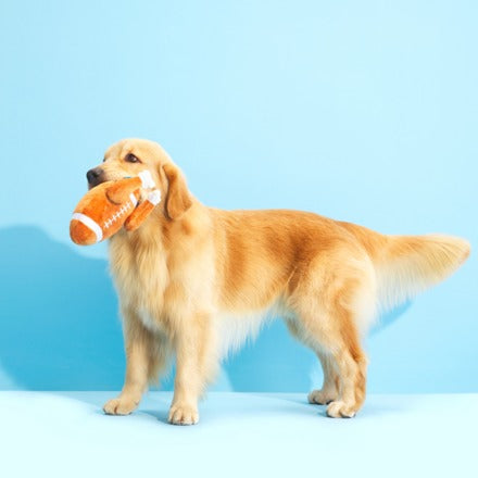 Turkey Day Football Plush Fetch Dog Toy