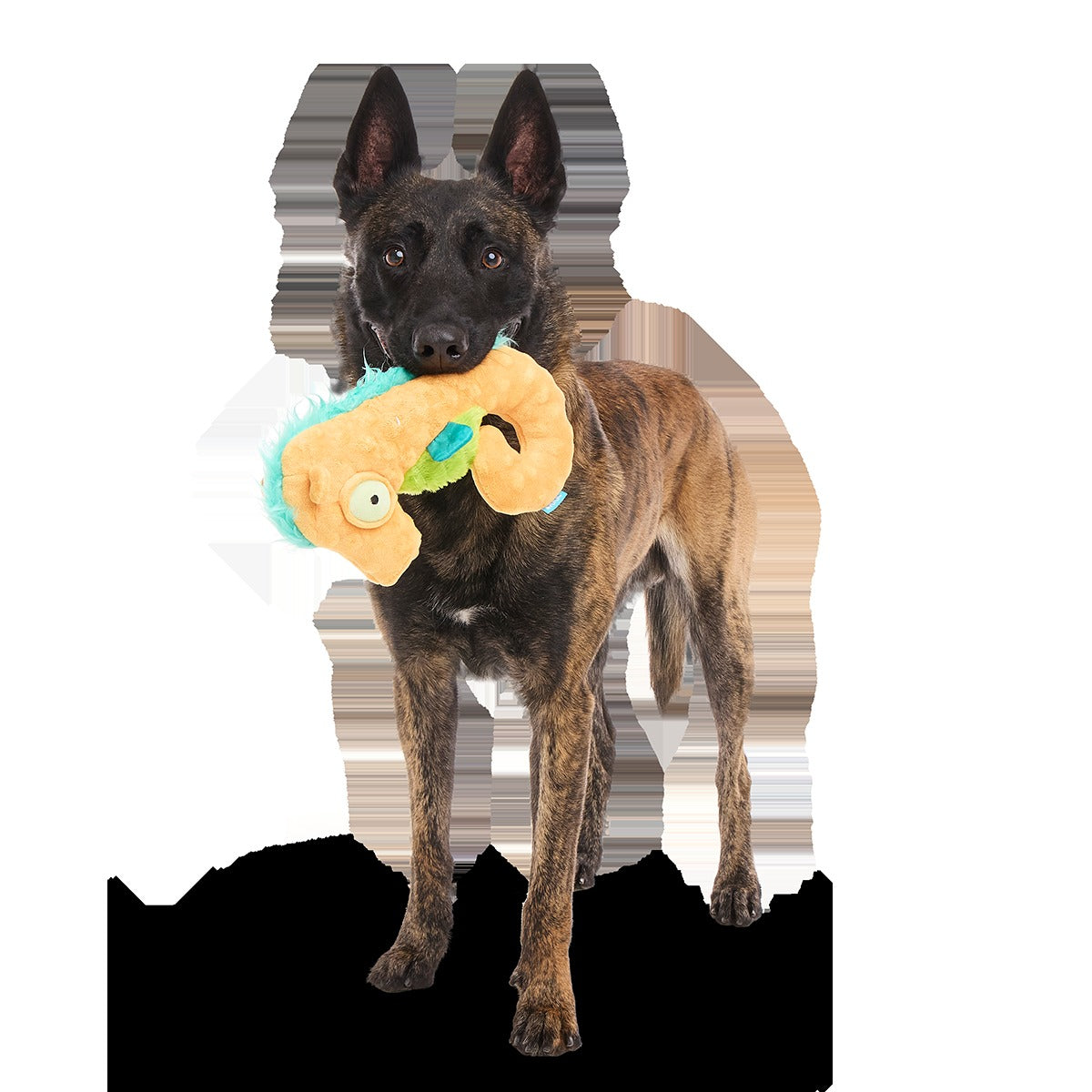 Swirlin Shirley the Seahorse Plush Tug Dog Toy