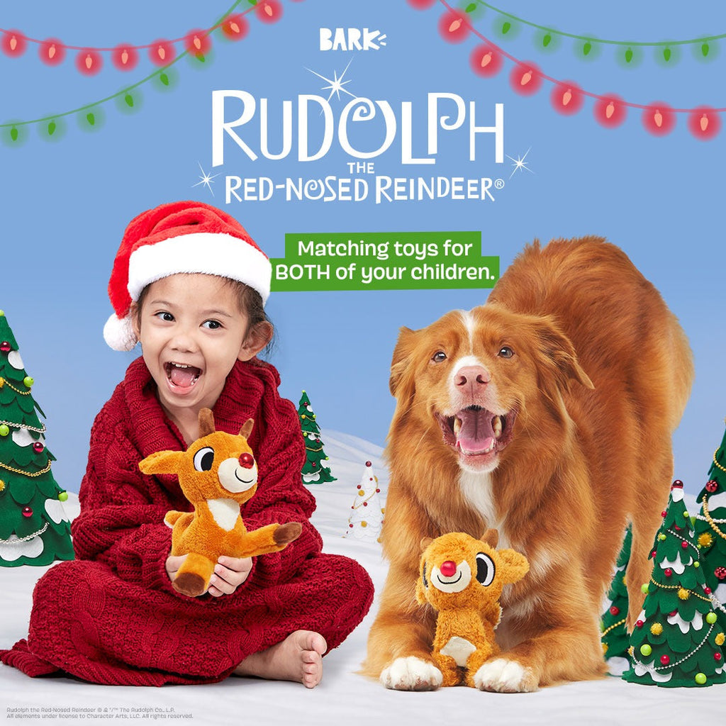 Runnin' Rudolph® Plush Multi-Part Kid + Dog Toy Bundle