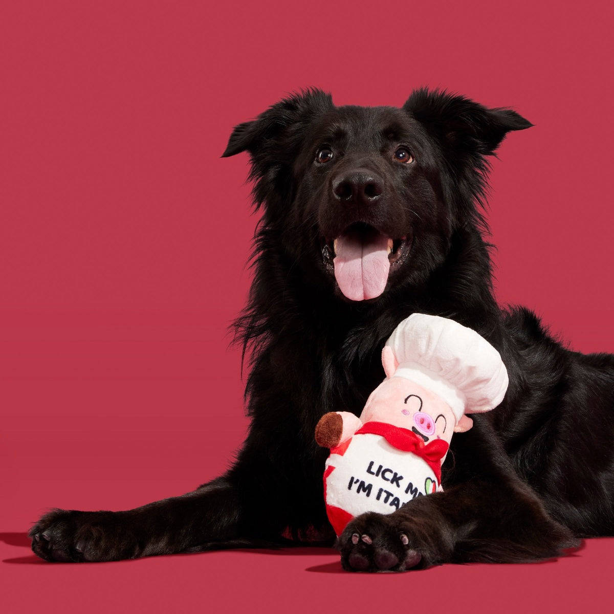 Tony Pupperoni Plush Tug Dog Toy