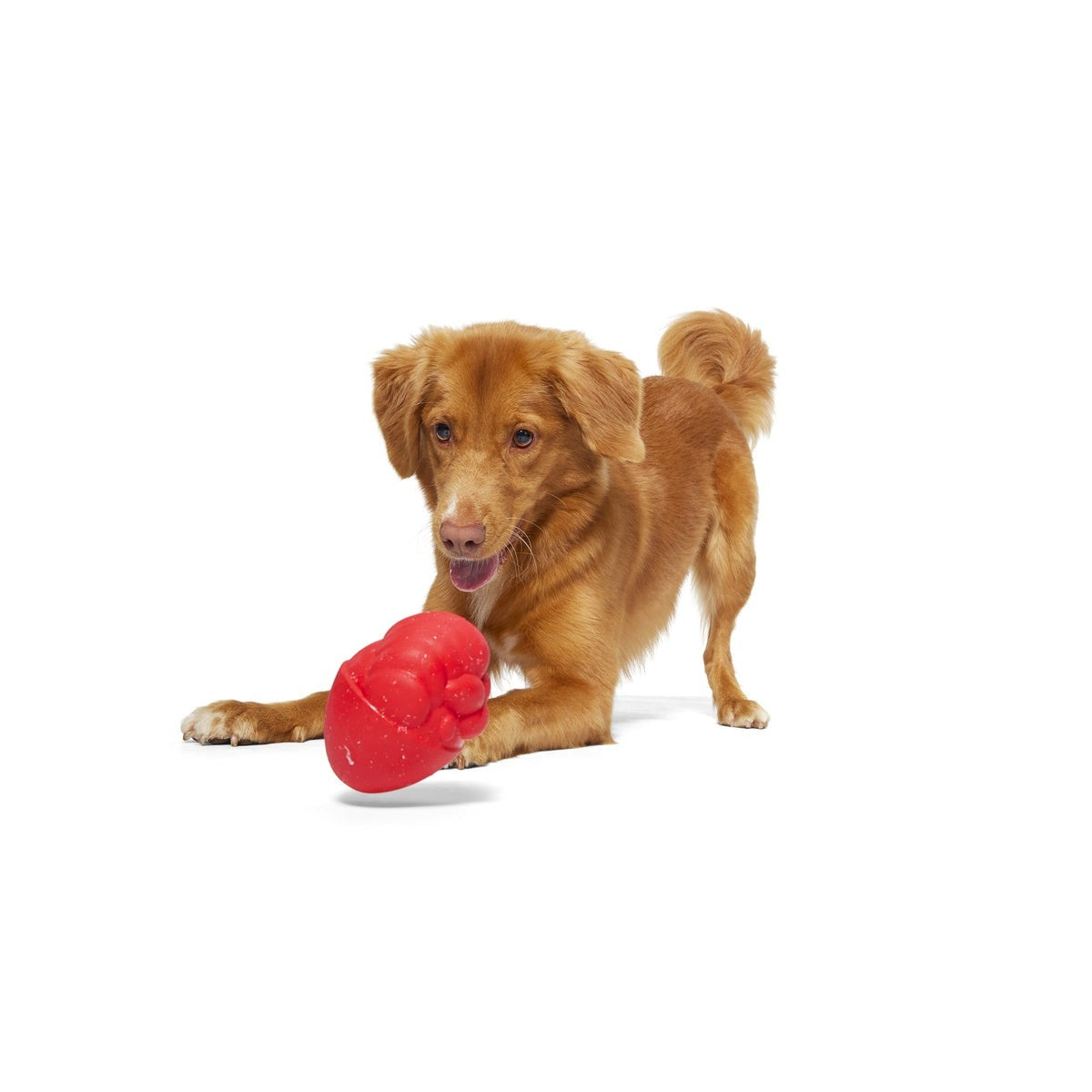 Secret Santa Durable Super Chewer 2-in-1 Rip and Reveal Dog Toy