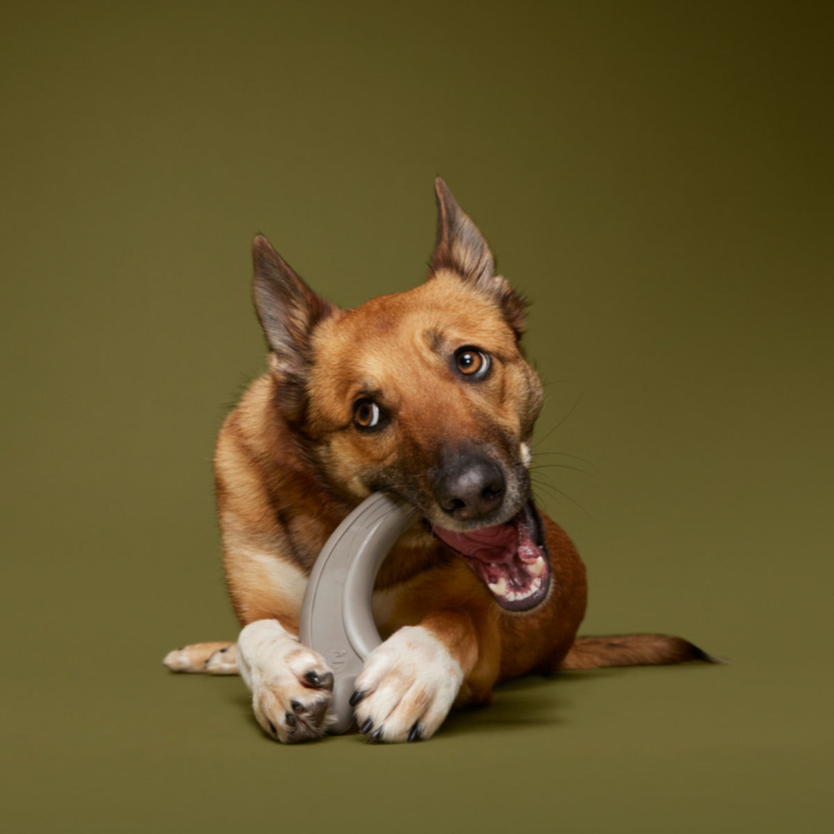 Raptor Claw Durable Super Chewer Gnaw Dog Toy