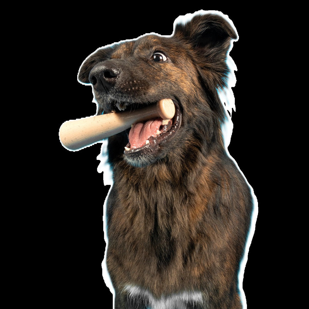 Drooleyville Slobber Super Chewer Durable Gnaw Dog Toy