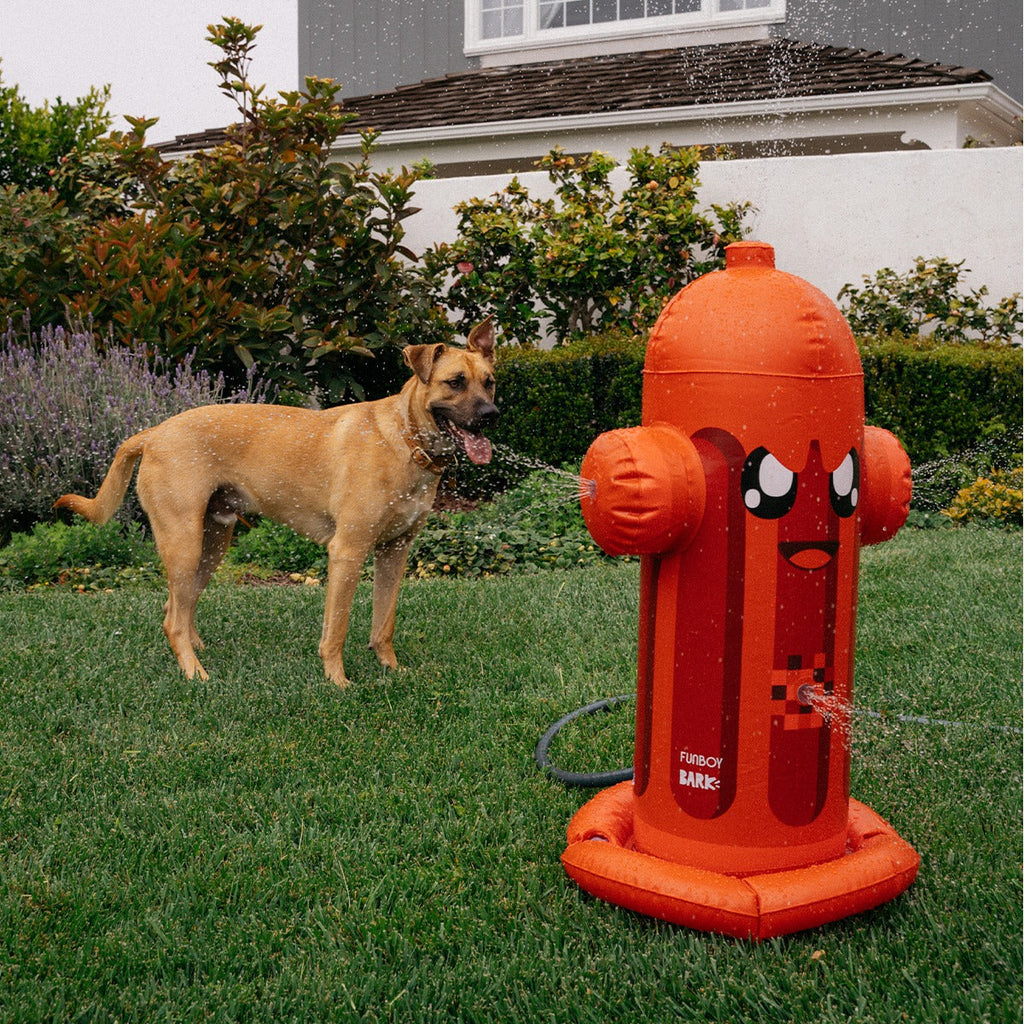 FUNBOY Harry the Hydrant Sprinkler
