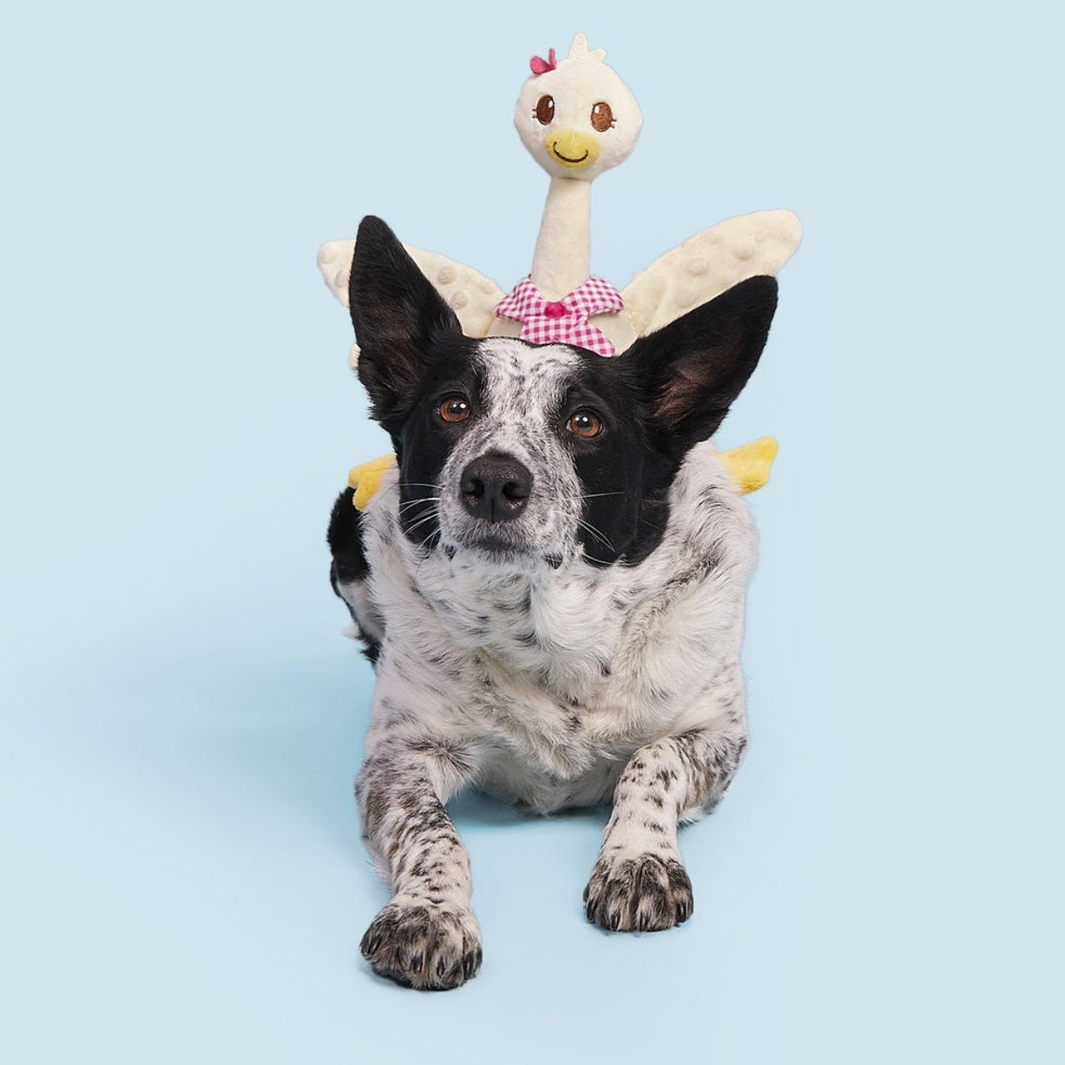 Gingham Goose Plush Extra-Large + Tug Dog Toy