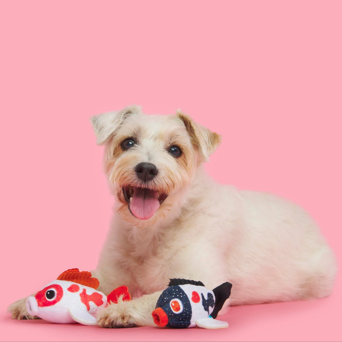 Toi Koi Plush Multi-Part Dog Toy
