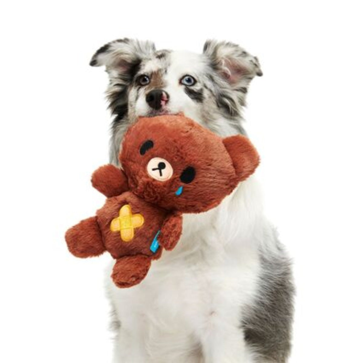 Take Care Bear Plush Dog Toy