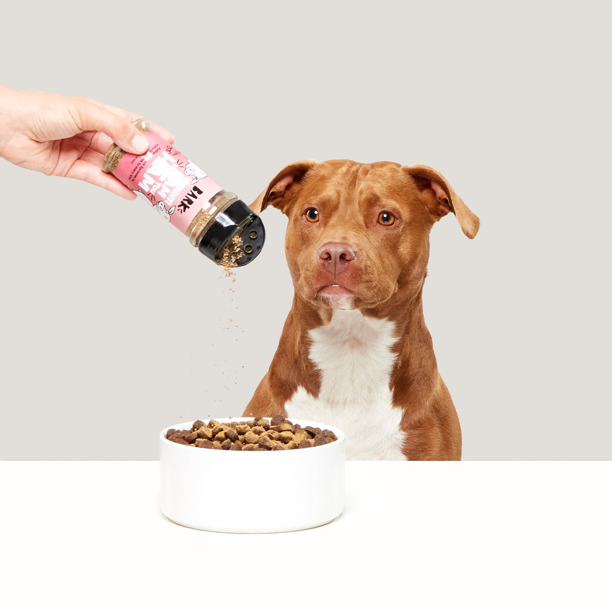 Wham Bam Thank You Ham Pork Dog Food Meal Topper