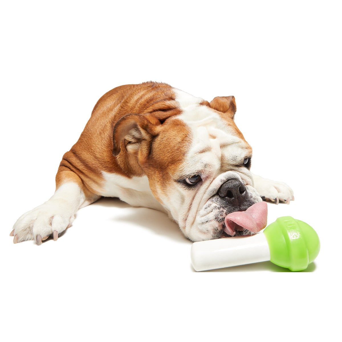 Ghoulie Pop Super Chewer Durable Gnaw Dog Toy