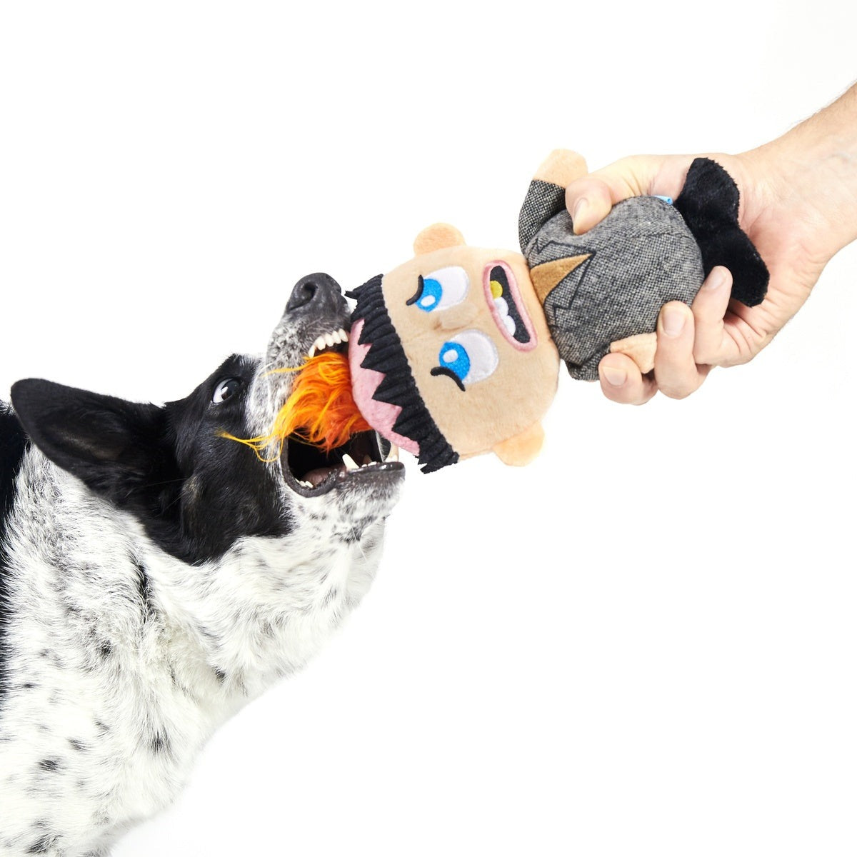 Harry Plush Dog Toy