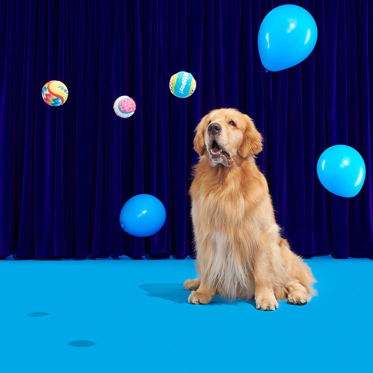 Party Fetchers Plush Multi-Part Fetch Dog Toy