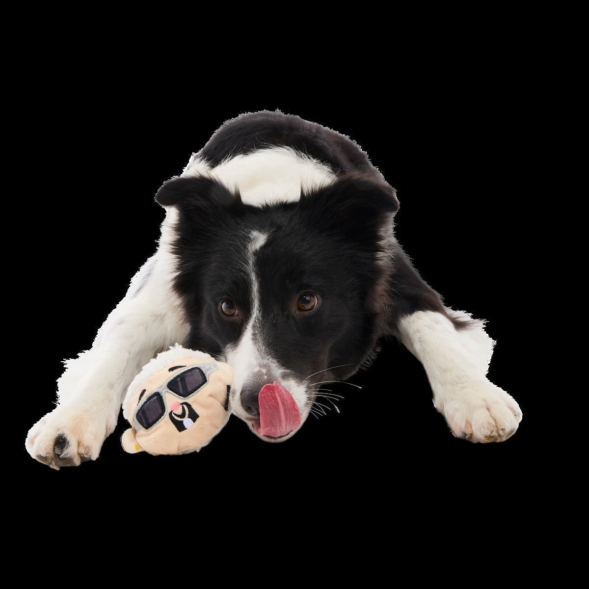 Gnawcklehead Super Chewer Durable Enrichment + Fetch Dog Toy