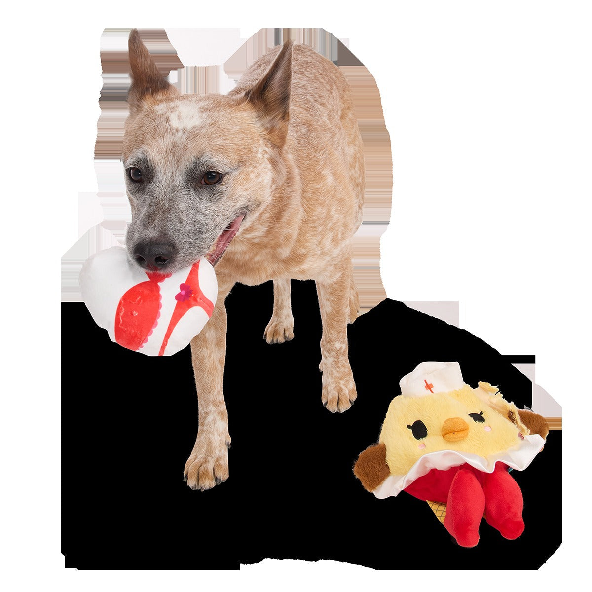 Nurse McSpicy Plush 2-in-1 + Tug Dog Toy