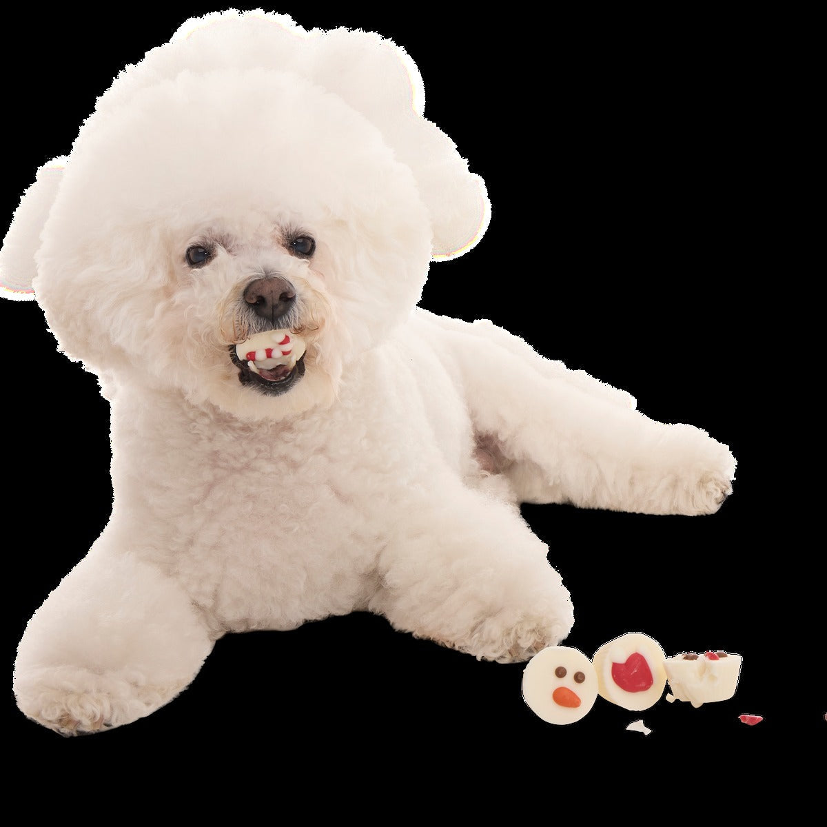 Christmutts Treat Cups