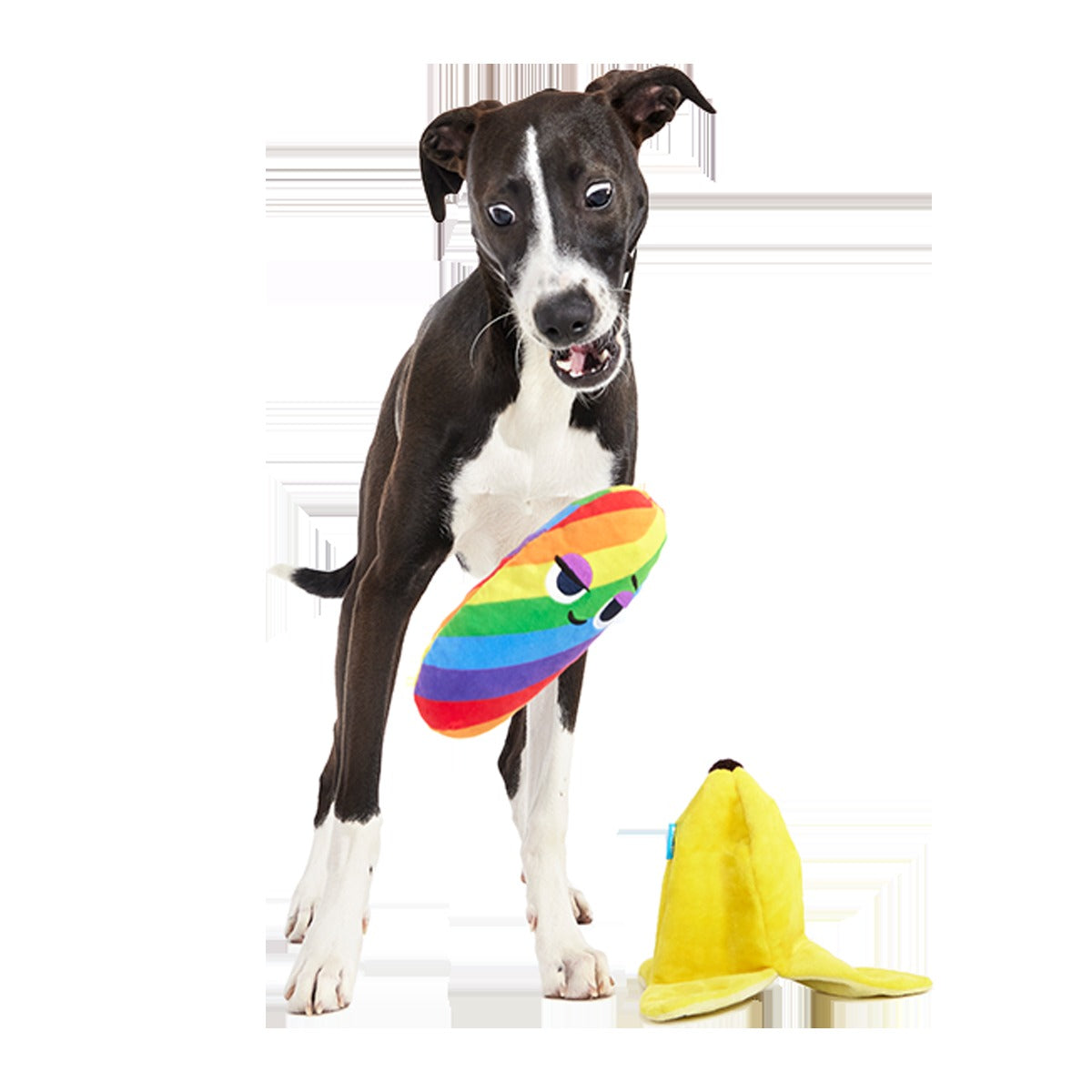 Top Banana Plush Multi-Part + Enrichment Dog Toy