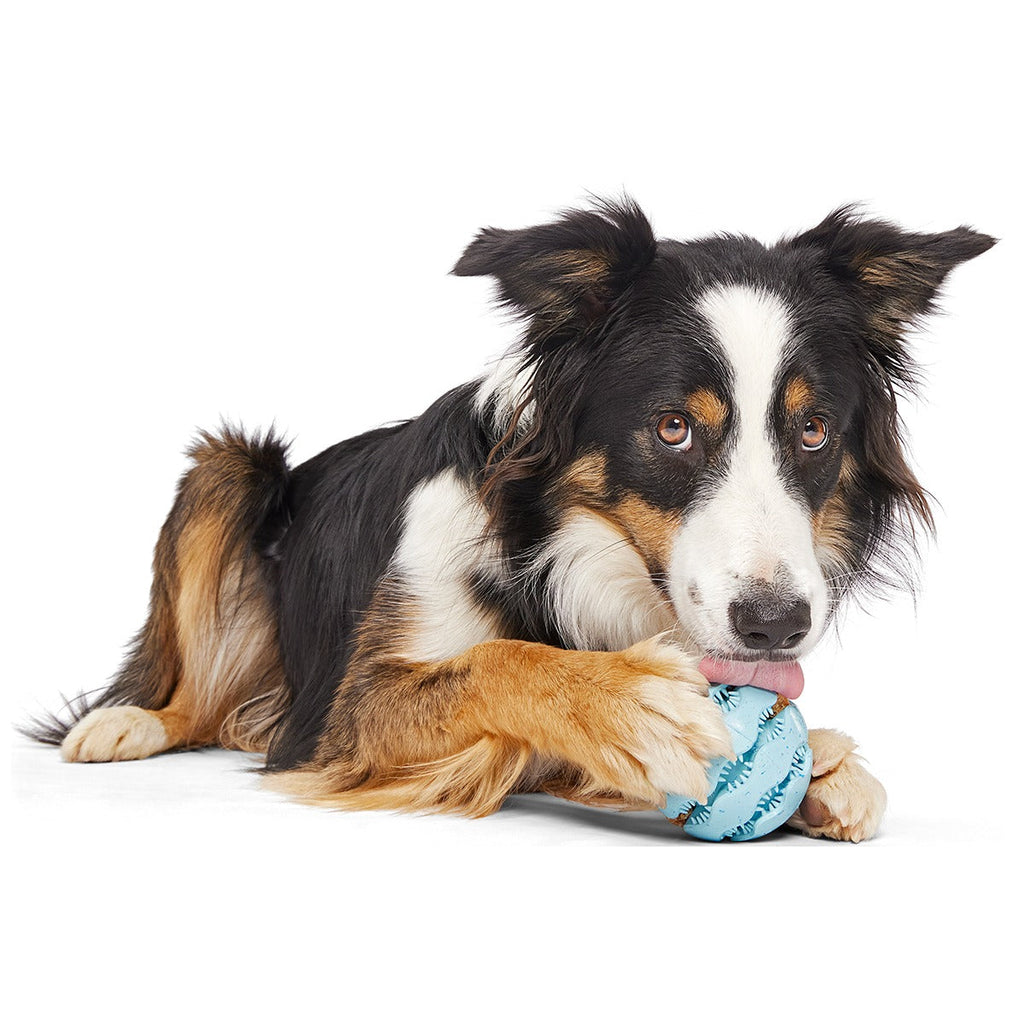 Jawball Super Chewer Durable Fetch + Enrichment Dog Toy