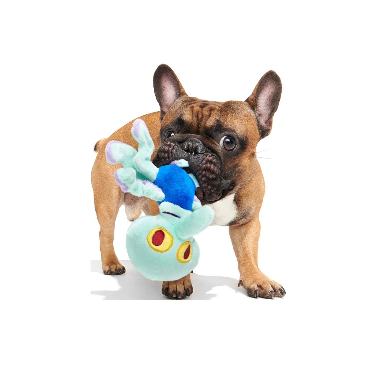 Dancing Squidward Plush Tug Dog Toy