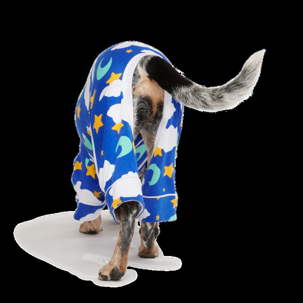 Slumber Party Dog Pajamas