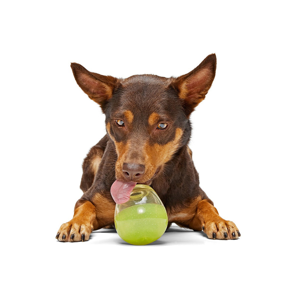 Tipsy Margarita Super Chewer Durable Enrichment Dog Toy