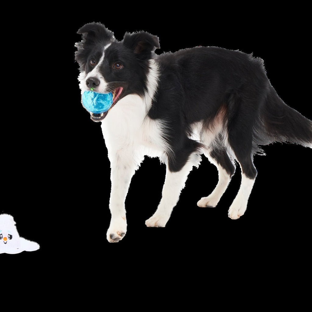 Slushy The Snowman Durable Super Chewer 2-in-1 Rip and Reveal Dog Toy