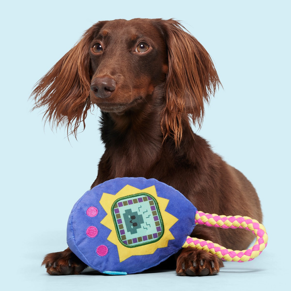 Gnawmagotchi Plush Tug Dog Toy