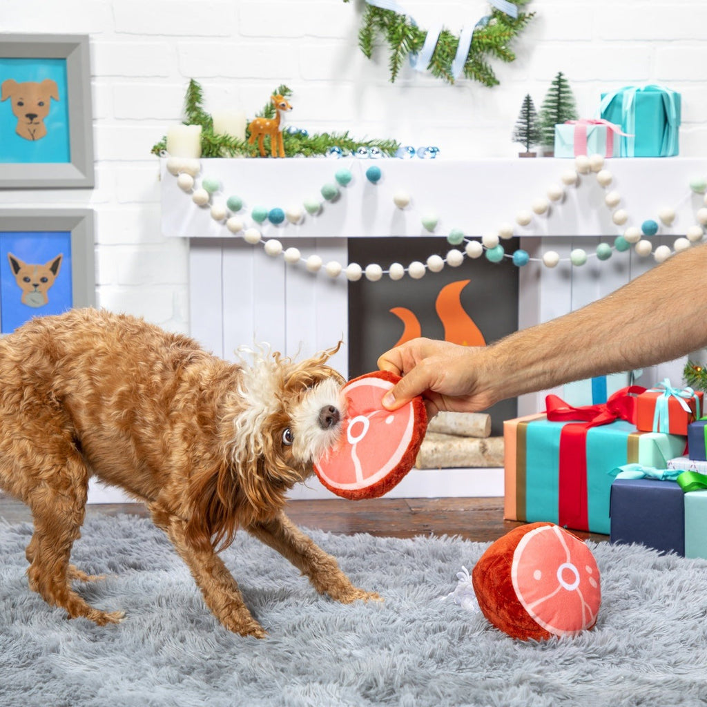 Wham Bam Ham Plush Tug Dog Toy