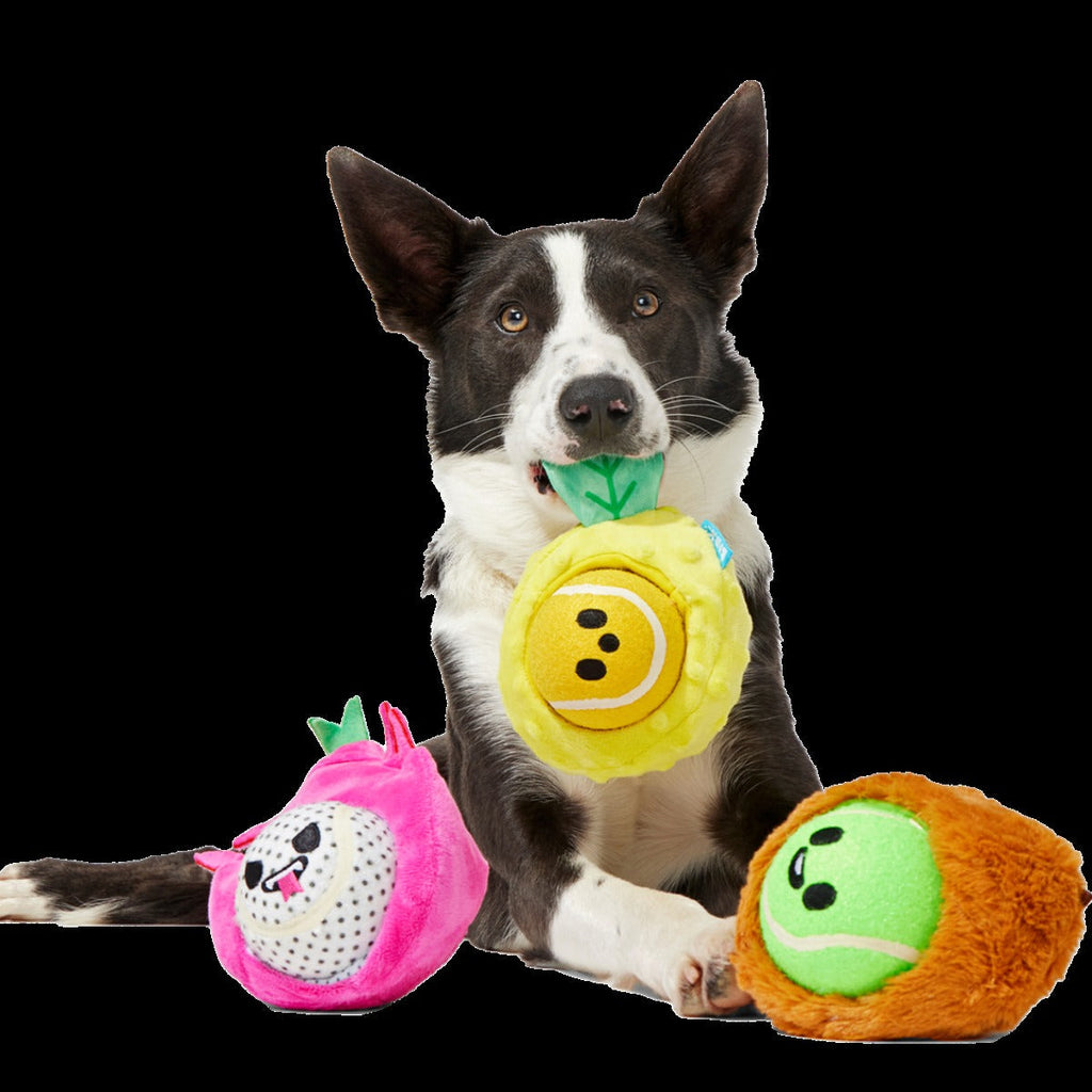 Fruity Cutie Tropical Trio Plush Multi-Part + Fetch Dog Toy
