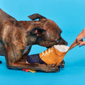 Barkwoods Boot Plush Tug Dog Toy